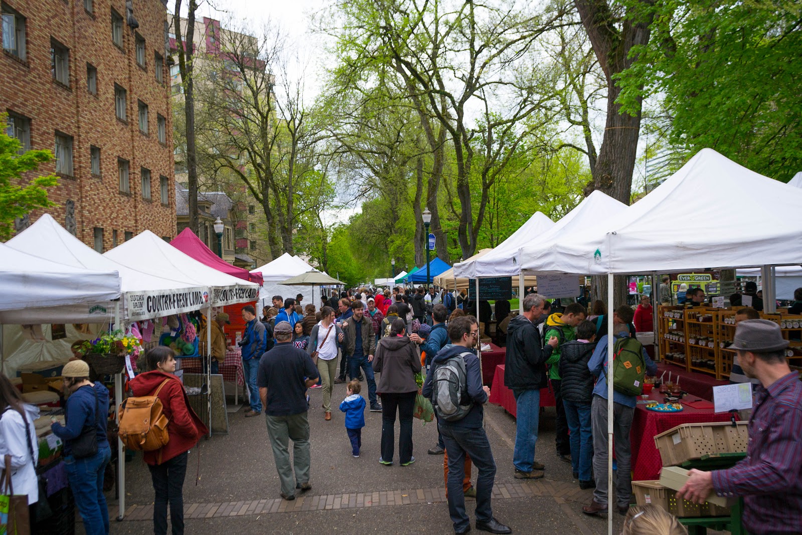 Farmer’s Market Stall