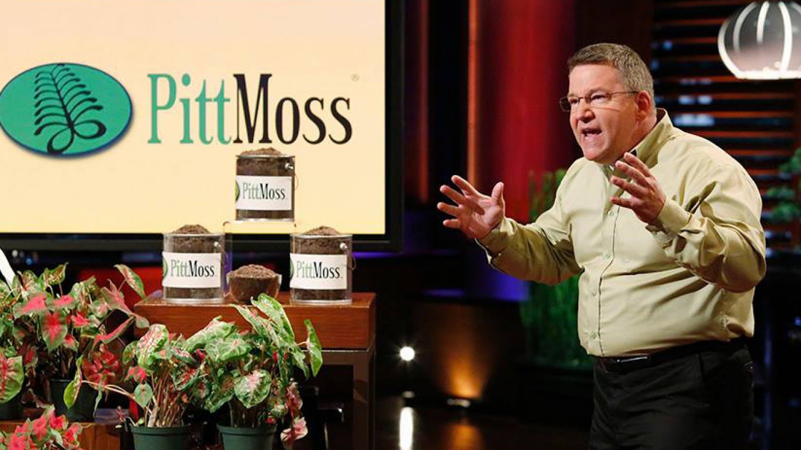 PittMoss Shark Tank