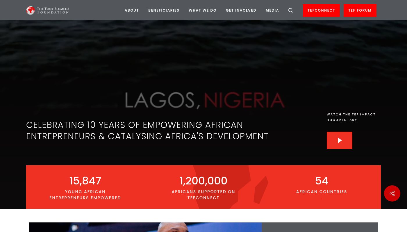 Tony Elumelu Foundation