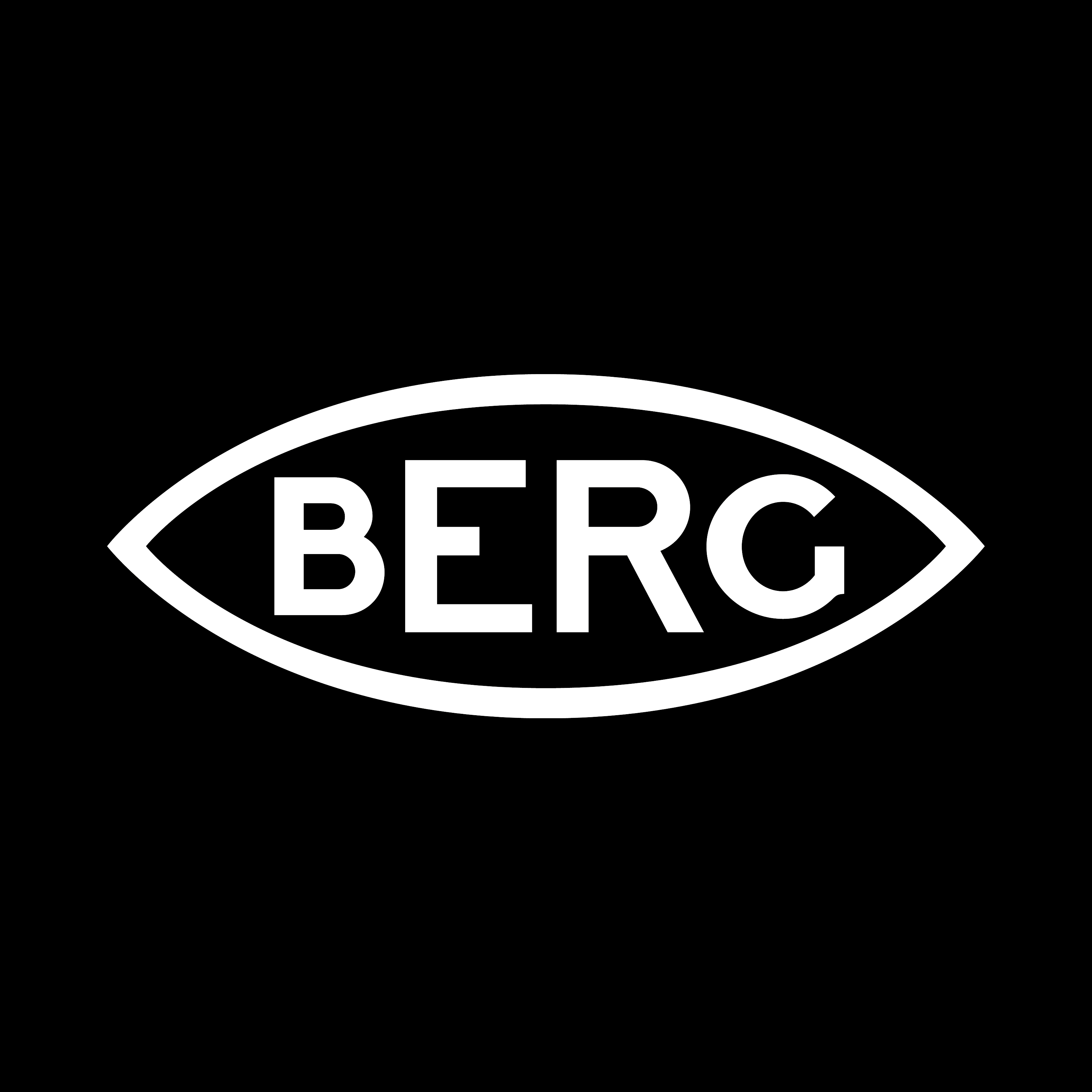 Berg